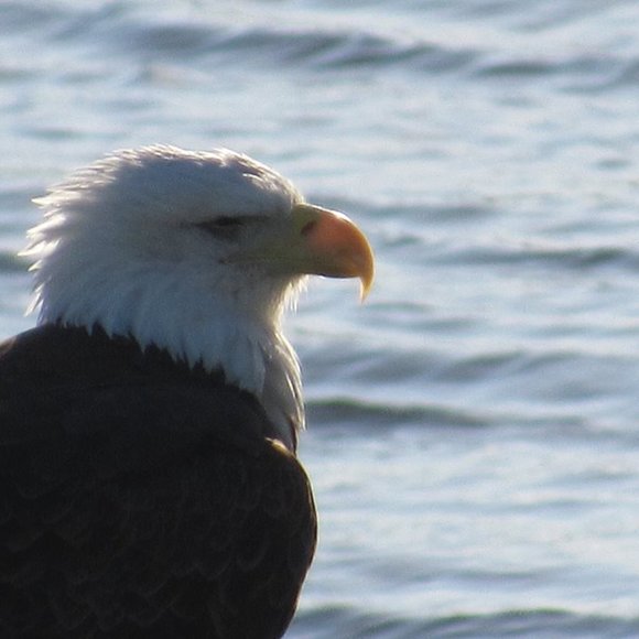 Meet your Posher, Jennifer - Picture 6 of 8